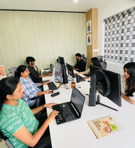 Pro Element Creatives team working together at their office workspace