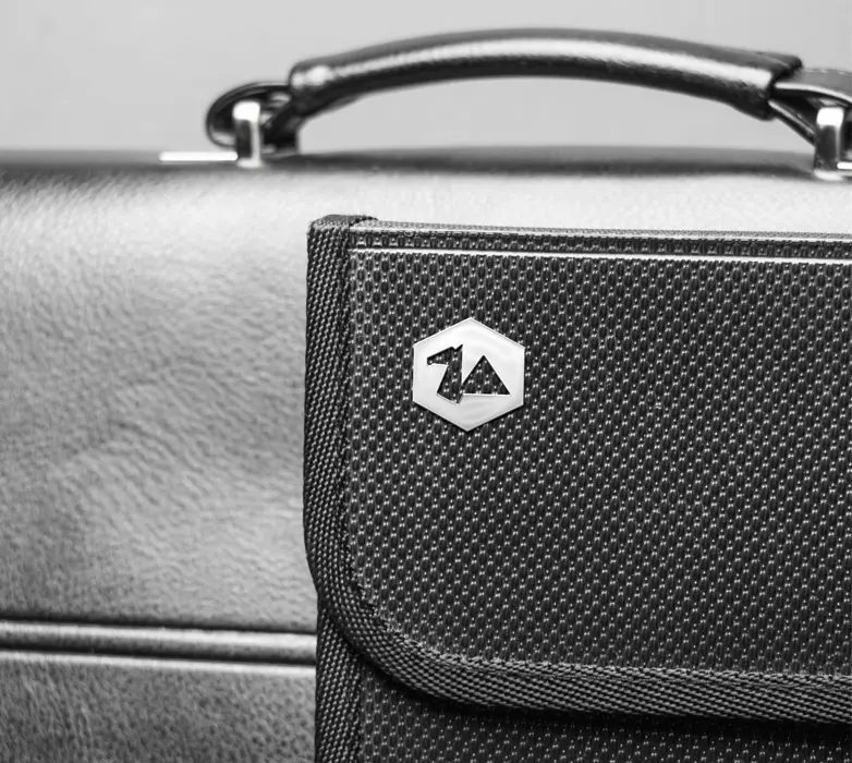 portfolio-details-fig